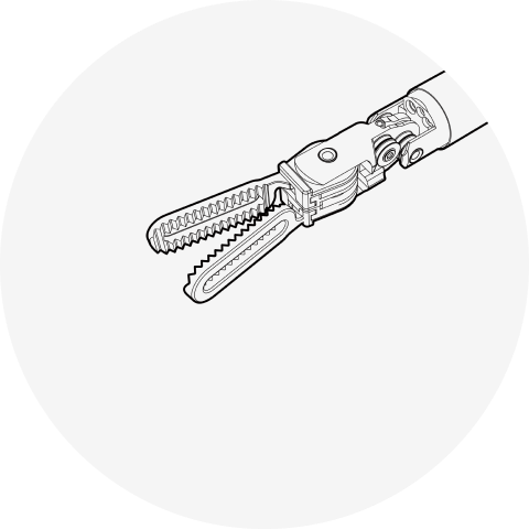 Bipolar Fenestrated Forceps