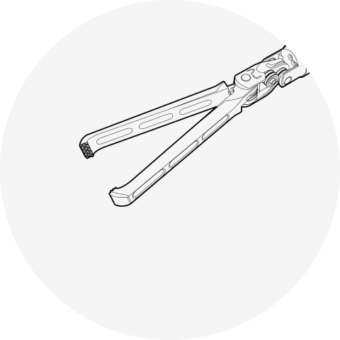 Babcock Forceps